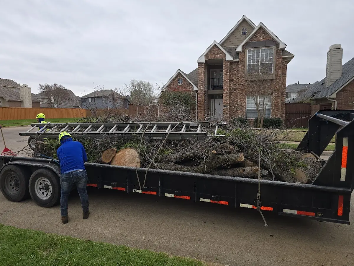 Expert Tree Fertilization with proper safety equipment in Rolfe